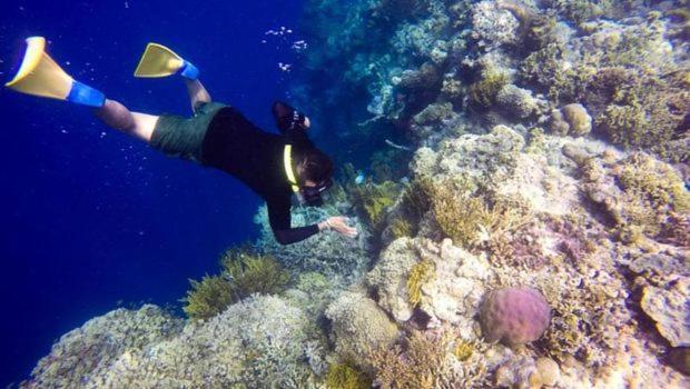 Batu Ampar Menjangan Hotell Banyuwedang Eksteriør bilde